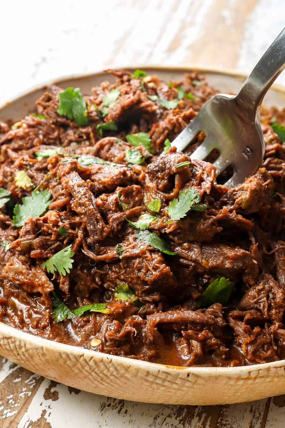 https://carlsbadcravings.com/wp-content/uploads/2022/01/Mexican-Shredded-Beef-5.jpg?utm_source=chatgpt.com