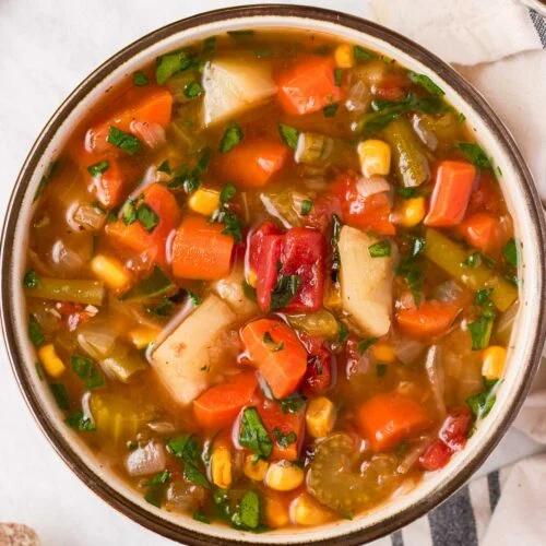 https://www.thereciperebel.com/wp-content/uploads/2019/01/instant-pot-vegetable-soup-www.thereciperebel.com-1200-3-of-3-500x500.jpg?utm_source=chatgpt.com